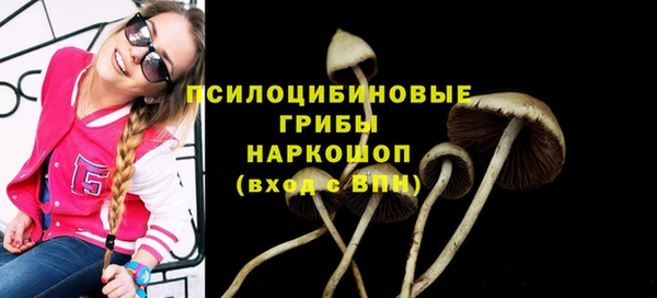 гидропоника Беломорск