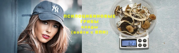 гидропоника Беломорск